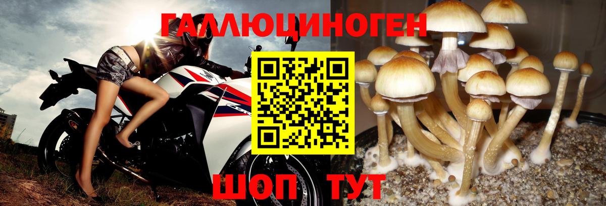 Псилоцибиновые грибы ЛСД  Вход с VPN  Псилоцибиновые грибы прущие грибы  Златоуст 